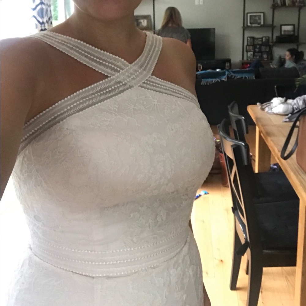 Galina (David’s Bridal) Wedding Dress - Picture 7 of 8